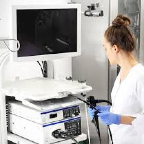 Building a Sustainable Business: Environmental and Social Responsibility